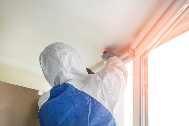 Why You Should Choose Our Mold Remediation Services in Mannford, OK